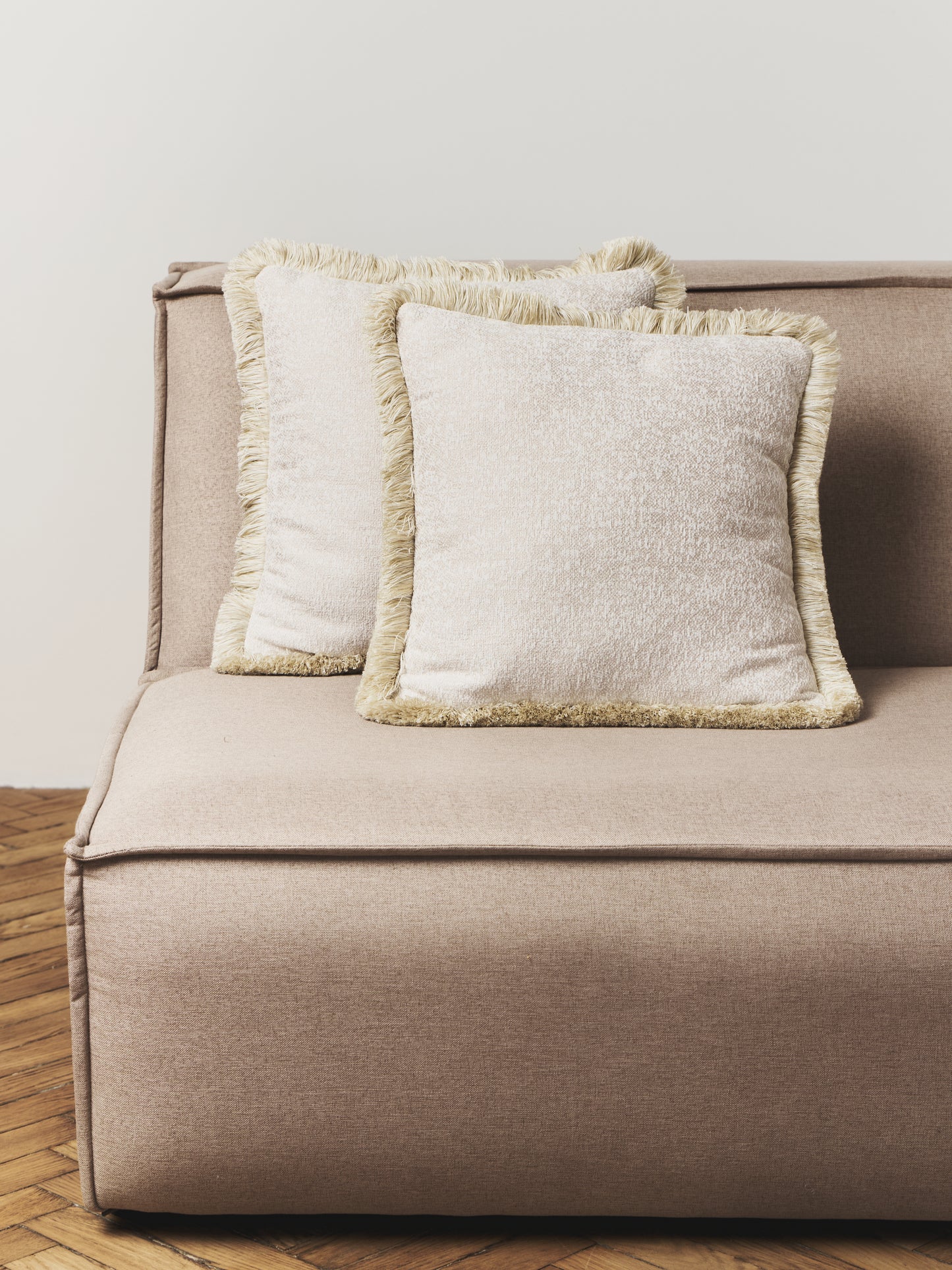 Velvet fringe Decorative cushion