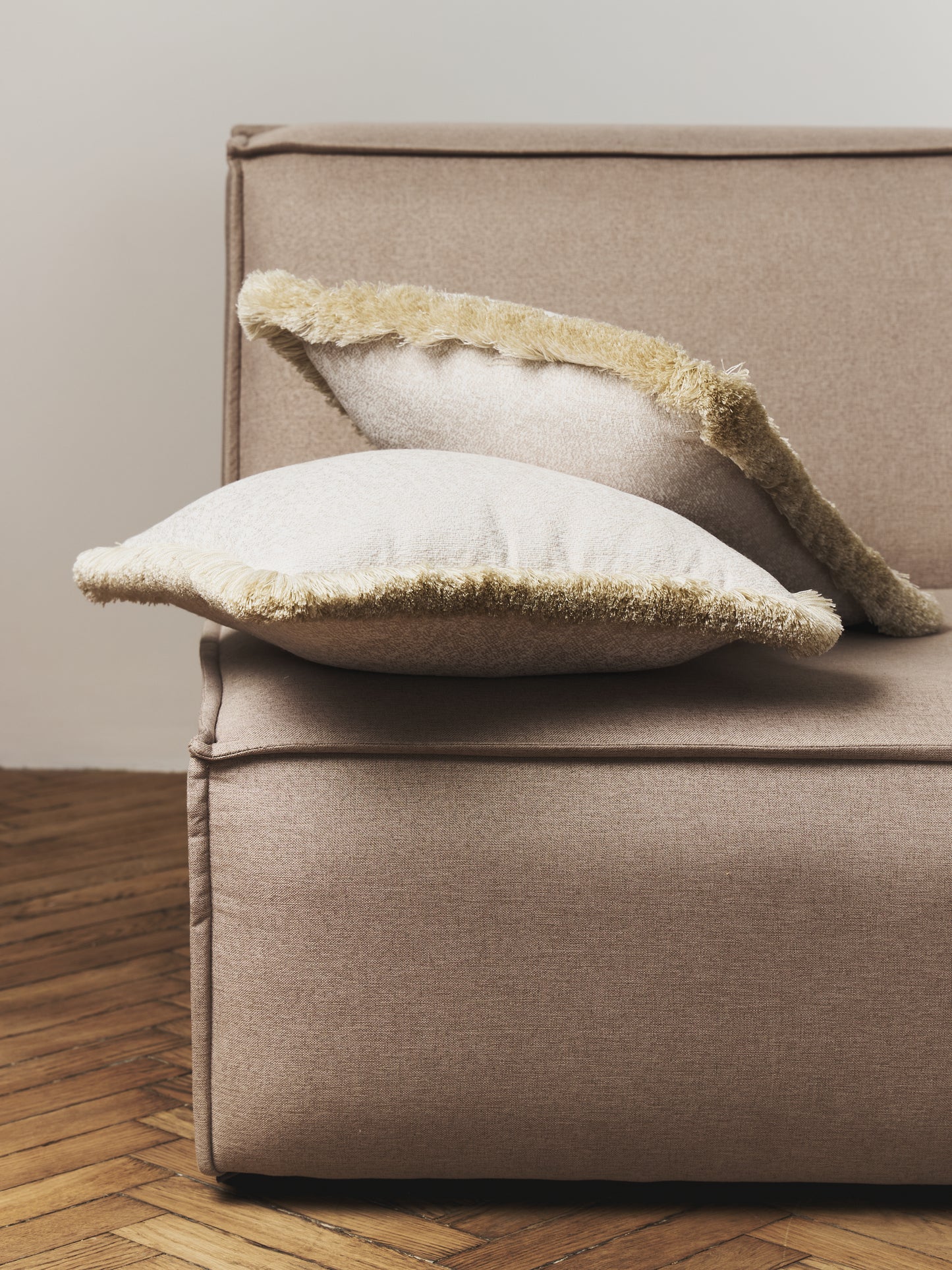 Velvet fringe Decorative cushion